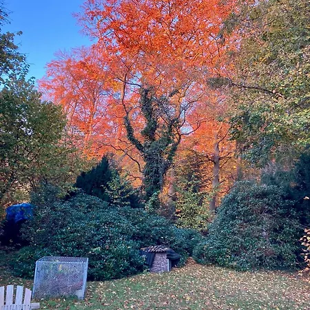 بيت للعطل Ruhiges Direkt Am Wald