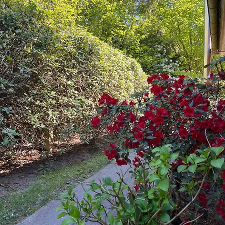 بيت للعطل Ruhiges Direkt Am Wald