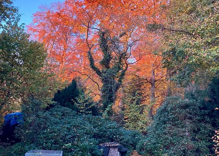 Prázdninový dům Ruhiges Direkt Am Wald